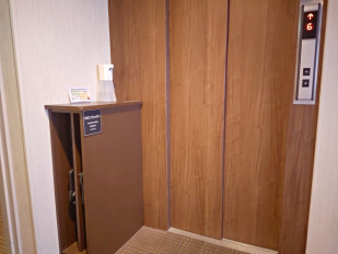 ■熨裤板：电梯在旁边准备了熨裤板。