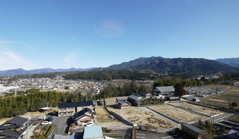 来自客房的风景